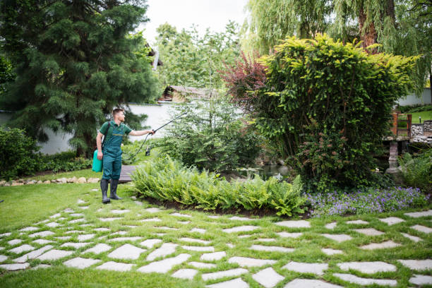 Professional Pest Control in Trinity, FL