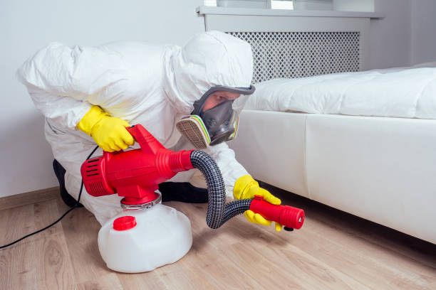 Wasp Removal Services in Trinity, FL